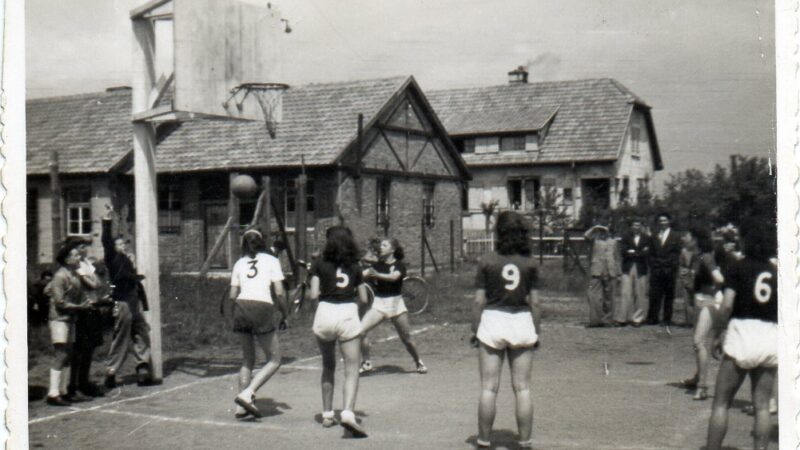 # f) Maman Basket016