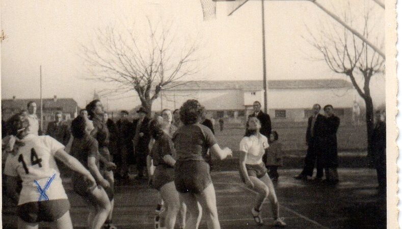 # g) Maman Basket007